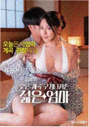 繁花 电视剧免费在线观看